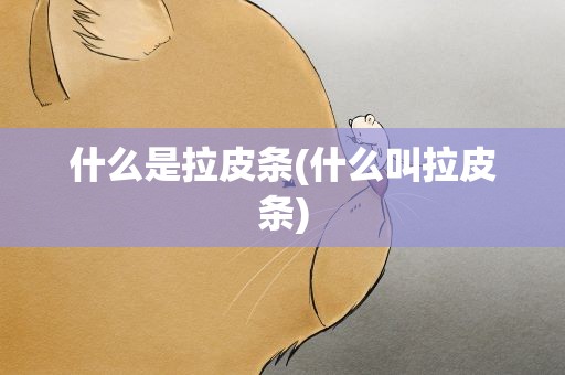 什么是拉皮条(什么叫拉皮条)