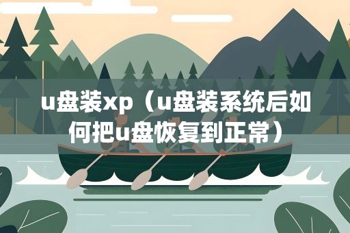 u盘装xp（u盘装系统后如何把u盘恢复到正常）