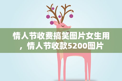 情人节收费搞笑图片女生用，情人节收款5200图片