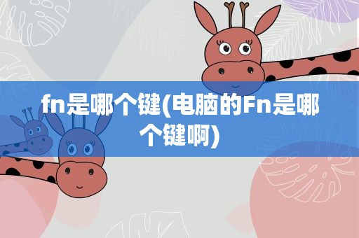 fn是哪个键(电脑的Fn是哪个键啊)