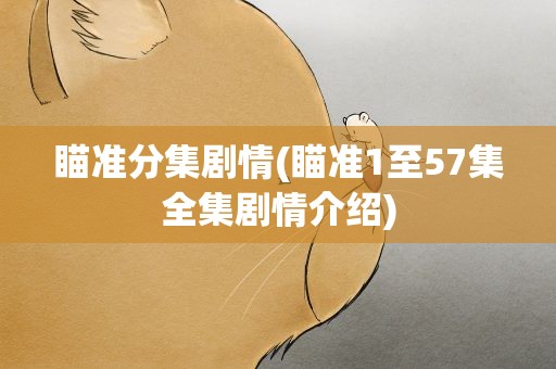 瞄准分集剧情(瞄准1至57集全集剧情介绍)