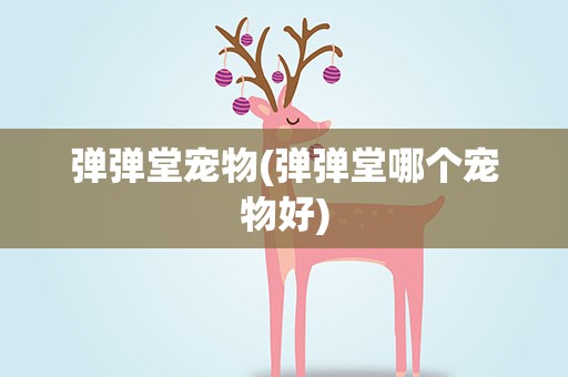 弹弹堂宠物(弹弹堂哪个宠物好)