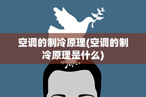 空调的制冷原理(空调的制冷原理是什么)