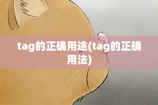 tag的正确用途(tag的正确用法)