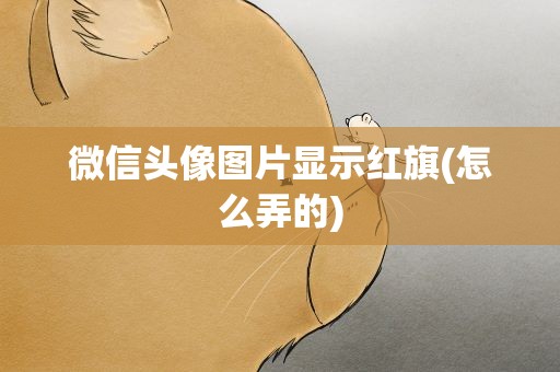 微信头像图片显示红旗(怎么弄的)