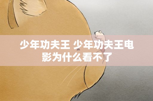少年功夫王 少年功夫王电影为什么看不了