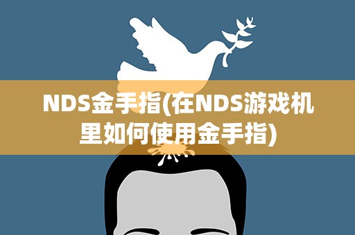 NDS金手指(在NDS游戏机里如何使用金手指)