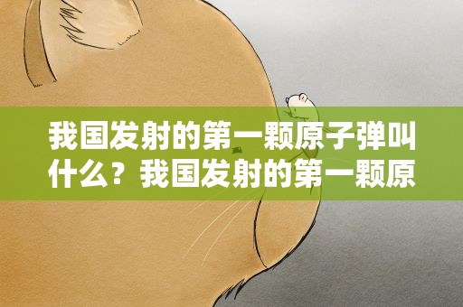 我国发射的第一颗原子弹叫什么？我国发射的第一颗原子名字叫什么