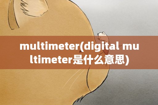 multimeter(digital multimeter是什么意思)