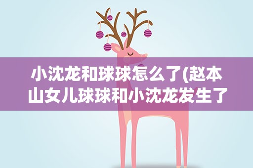 小沈龙和球球怎么了(赵本山女儿球球和小沈龙发生了什么)