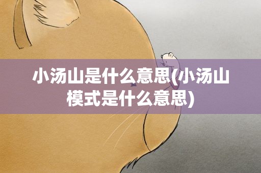 小汤山是什么意思(小汤山模式是什么意思)