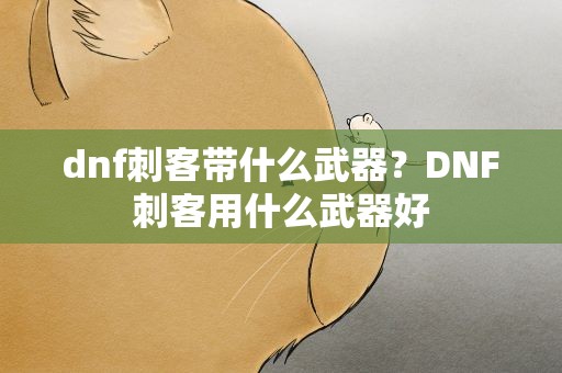 dnf刺客带什么武器？DNF刺客用什么武器好
