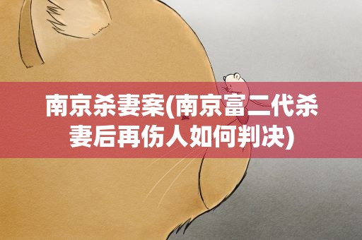 南京杀妻案(南京富二代杀妻后再伤人如何判决)