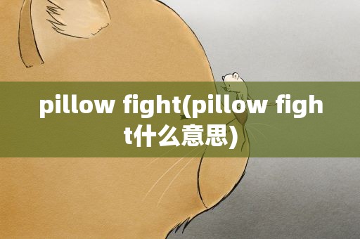 pillow fight(pillow fight什么意思)
