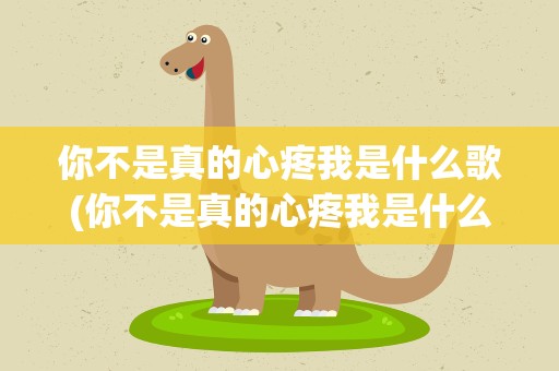 你不是真的心疼我是什么歌(你不是真的心疼我是什么歌曲)