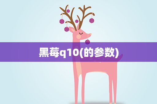 黑莓q10(的参数)