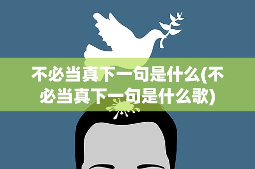 不必当真下一句是什么(不必当真下一句是什么歌)