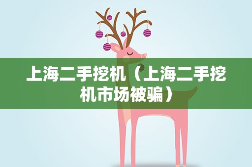 上海二手挖机（上海二手挖机市场被骗）