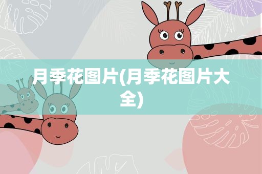 月季花图片(月季花图片大全)