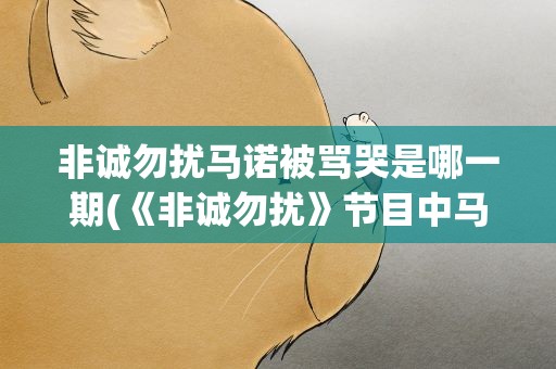 非诚勿扰马诺被骂哭是哪一期(《非诚勿扰》节目中马诺被骂哭是第几期)