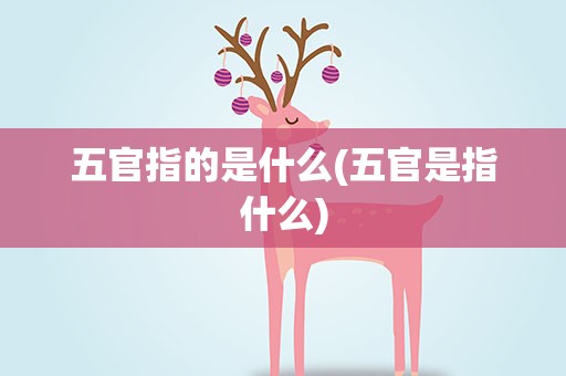 五官指的是什么(五官是指什么)