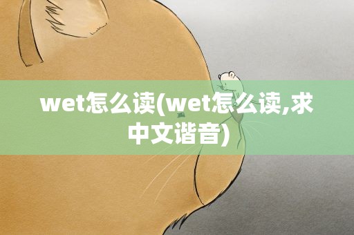 wet怎么读(wet怎么读,求中文谐音)