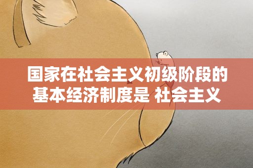 国家在社会主义初级阶段的基本经济制度是 社会主义初级阶段的基本经济制度是什么