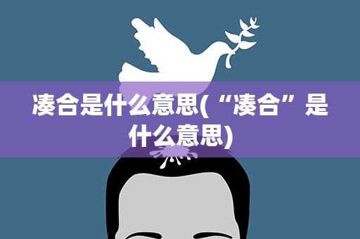 凑合是什么意思(“凑合”是什么意思)