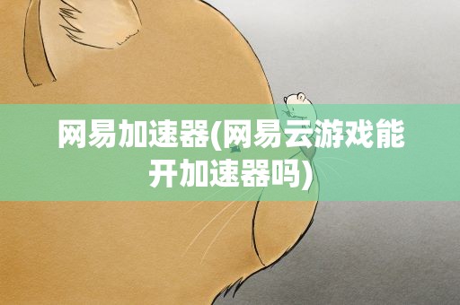 网易加速器(网易云游戏能开加速器吗)