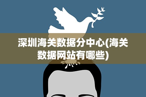 深圳海关数据分中心(海关数据网站有哪些)