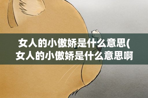 女人的小傲娇是什么意思(女人的小傲娇是什么意思啊)