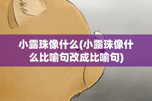 小露珠像什么(小露珠像什么比喻句改成比喻句)