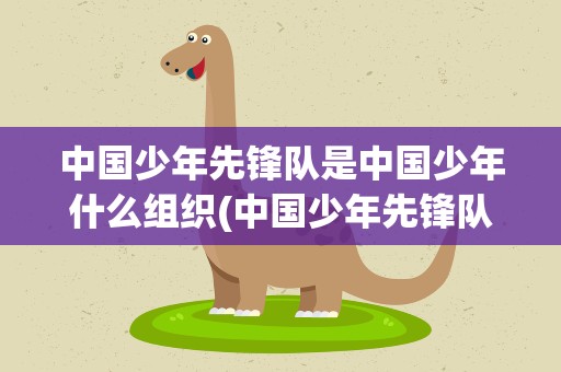 中国少年先锋队是中国少年什么组织(中国少年先锋队是什么组织)