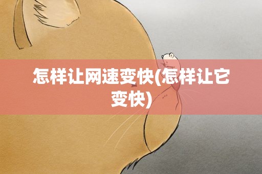 怎样让网速变快(怎样让它变快)