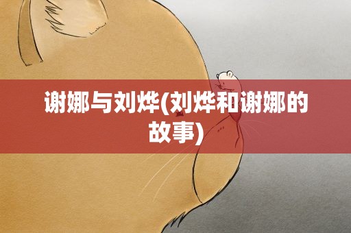 谢娜与刘烨(刘烨和谢娜的故事)