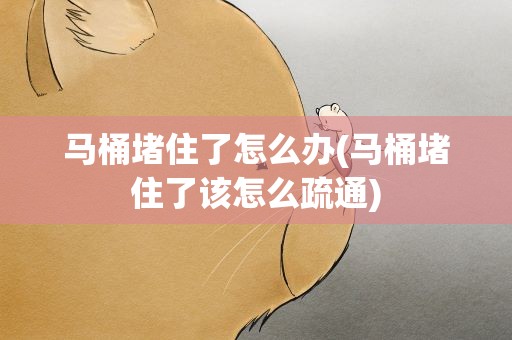 马桶堵住了怎么办(马桶堵住了该怎么疏通)
