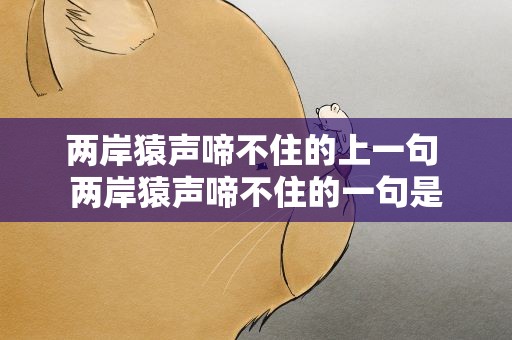 两岸猿声啼不住的上一句 两岸猿声啼不住的一句是