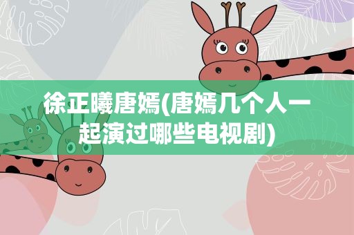徐正曦唐嫣(唐嫣几个人一起演过哪些电视剧)