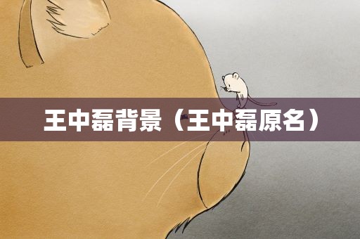 王中磊背景（王中磊原名）