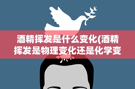 酒精挥发是什么变化(酒精挥发是物理变化还是化学变化)