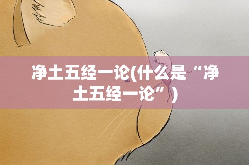 净土五经一论(什么是“净土五经一论”)