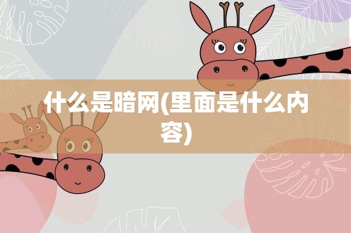 什么是暗网(里面是什么内容)