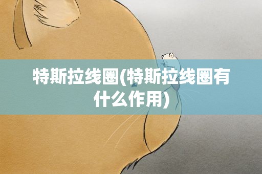 特斯拉线圈(特斯拉线圈有什么作用)