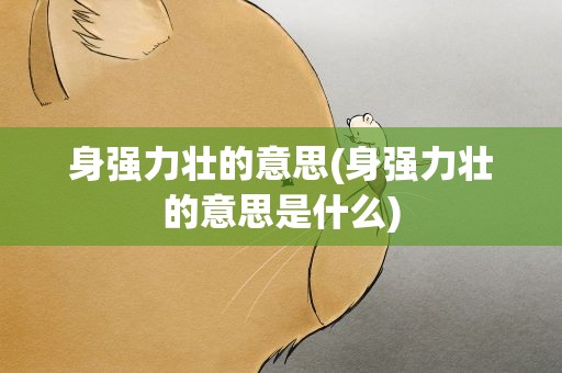 身强力壮的意思(身强力壮的意思是什么)