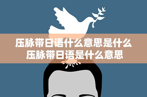压脉带日语什么意思是什么 压脉带日语是什么意思