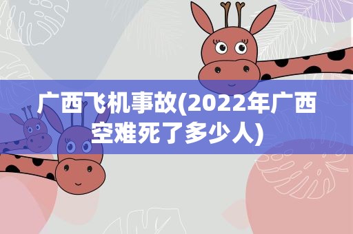 广西飞机事故(2022年广西空难死了多少人)