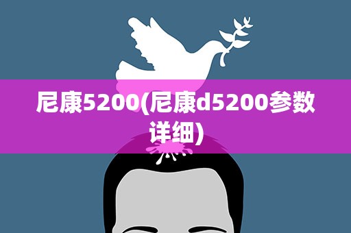 尼康5200(尼康d5200参数详细)