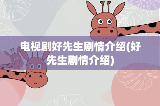 电视剧好先生剧情介绍(好先生剧情介绍)