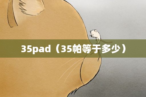 35pad（35帕等于多少）