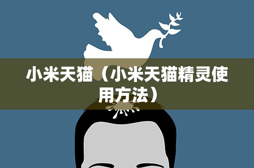 小米天猫（小米天猫精灵使用方法）
